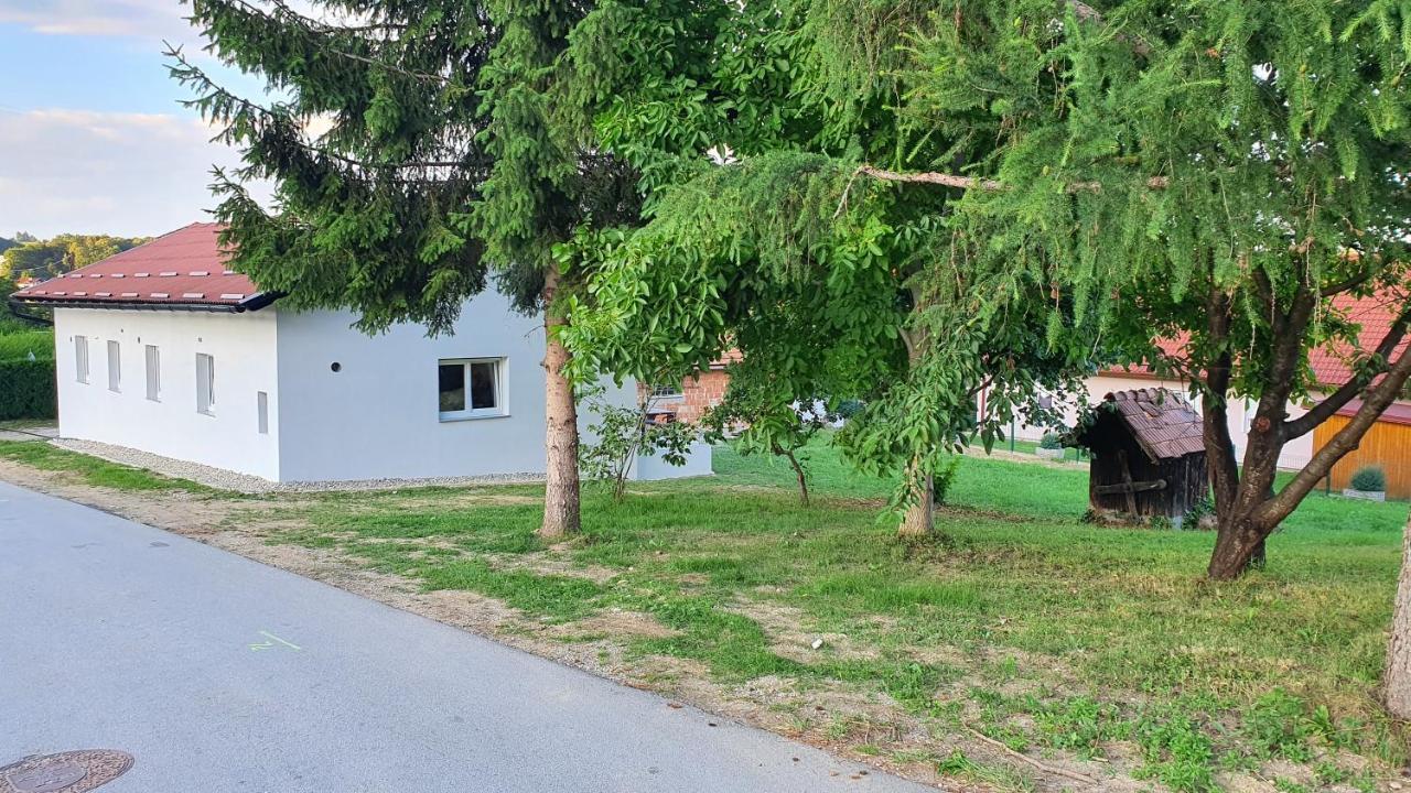 Rooms And Apartments Vili Ptuj Extérieur photo